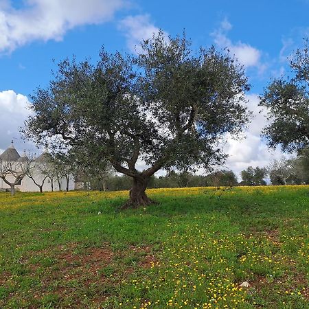 Trulli Carlo Anna Villa Locorotondo Kültér fotó