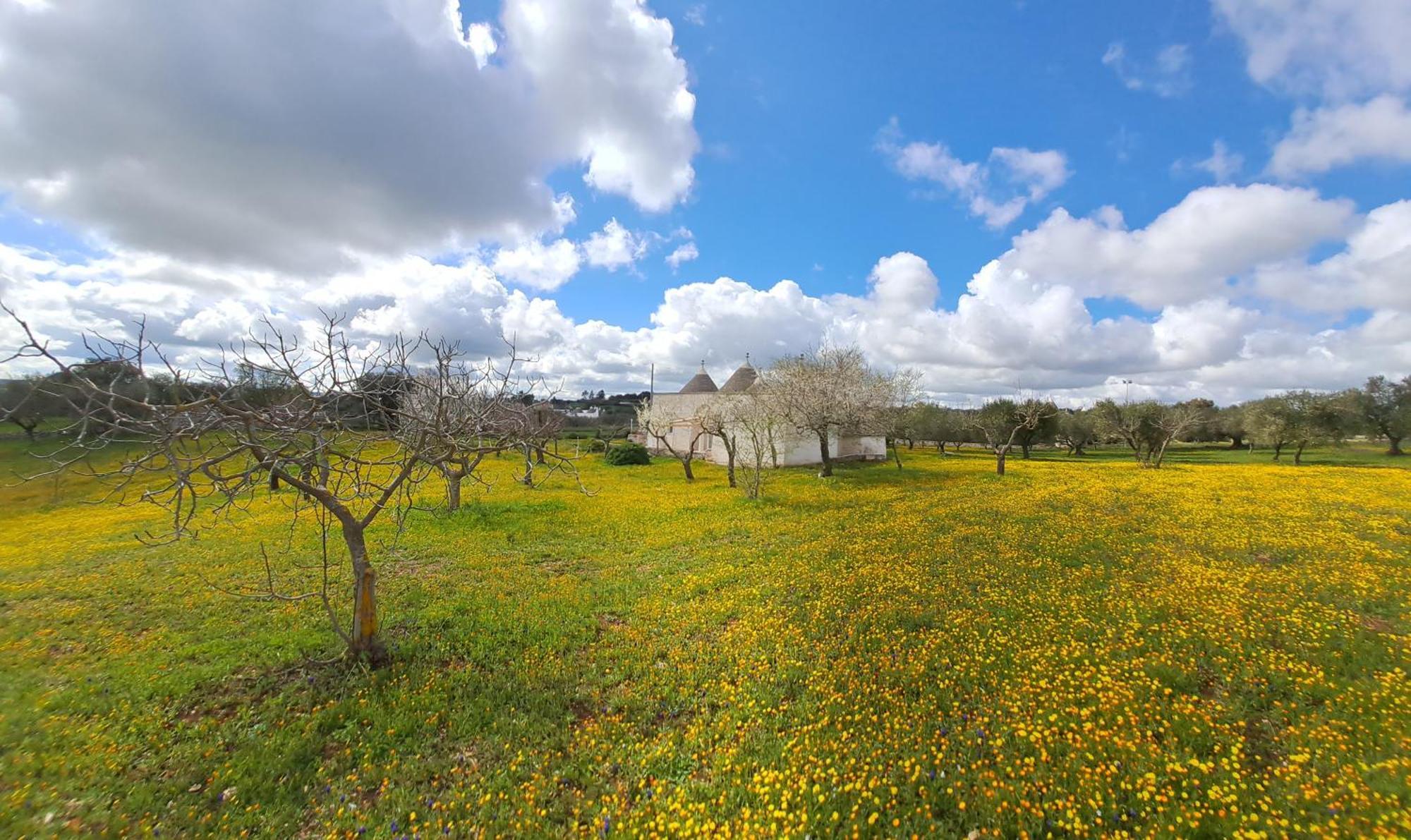 Trulli Carlo Anna Villa Locorotondo Kültér fotó