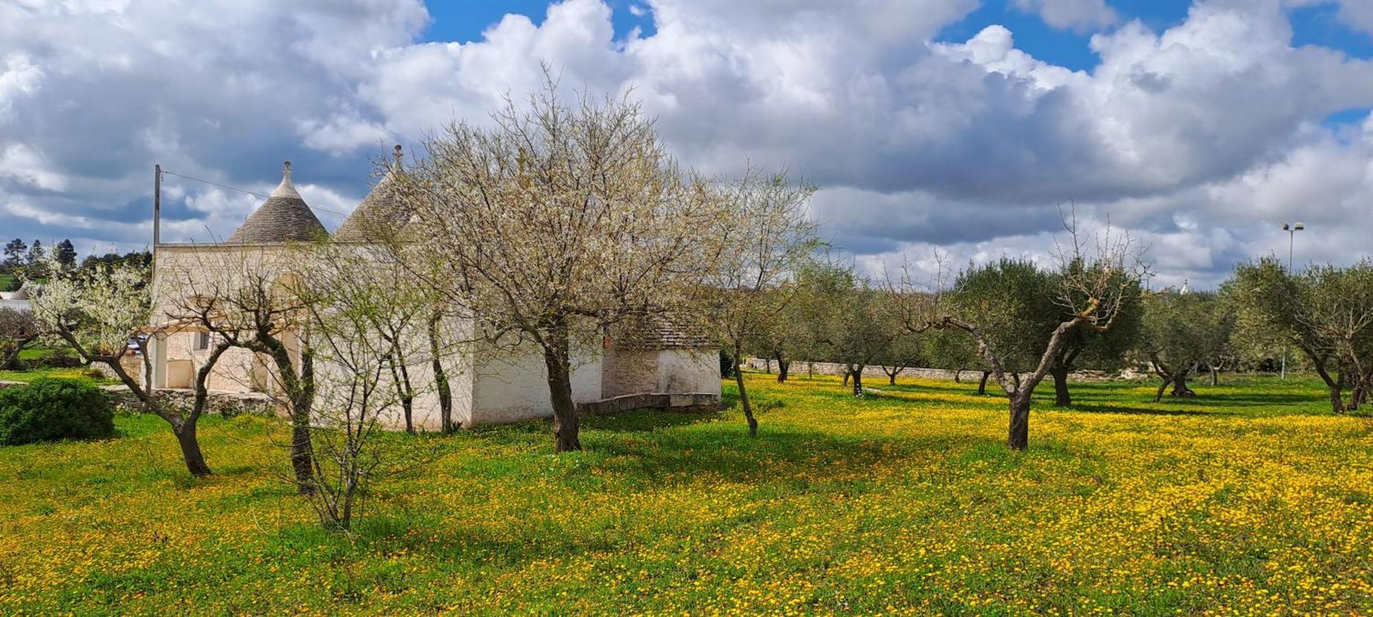 Trulli Carlo Anna Villa Locorotondo Kültér fotó